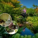 Gardener Linda Kidd has created an immaculate Japanese garden at her home in Treales, near Preston, which is regularly open for visitors and raises money for charity. (Main image credit: Neil Cross)