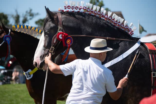 Judges deliberate horses in the main ring on Saturday 12th July, during the Great Eccleston Show 2025. Photo credit Lucinda Herbert