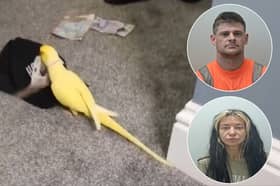 A video has emerged showing Shannon Hilton teaching her pet parrot to recite drug prices all while her boyfriend Adam Garnett led a major drug gang from inside prison