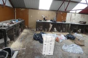 A mother and her two sons have been banned from keeping animals for a total of 40 years after forcing 22 dogs to live in cramped, dirty and freezing cages at their Fylde coast home.