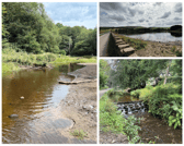 Sunnyhurst Wood, Darwen