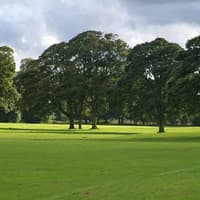 Tragedy as woman killed by falling tree branch while walking with children at Witton Park in Blackburn