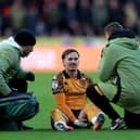 Liam Millar of Hull City receives medical treatment 
