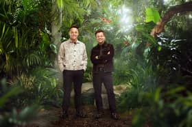 Ant & Dec will present I'm a Celebrity... Get Me Out of Here in 2025
