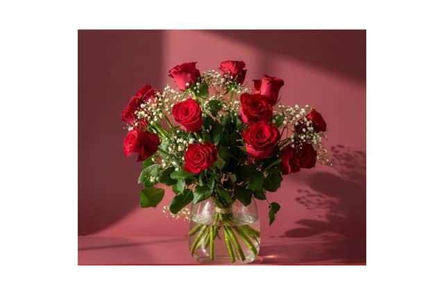 12 Premium red roses with gypsophila bouquet