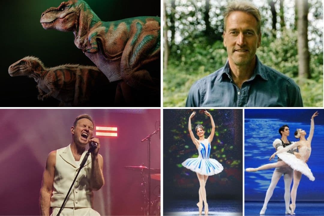 Alle Shows, die im März in Lancashire stattfinden, inklusive Stargästen ...