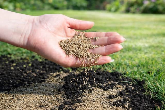 March is a great time to give your lawn a boost - in time for the warmer months
