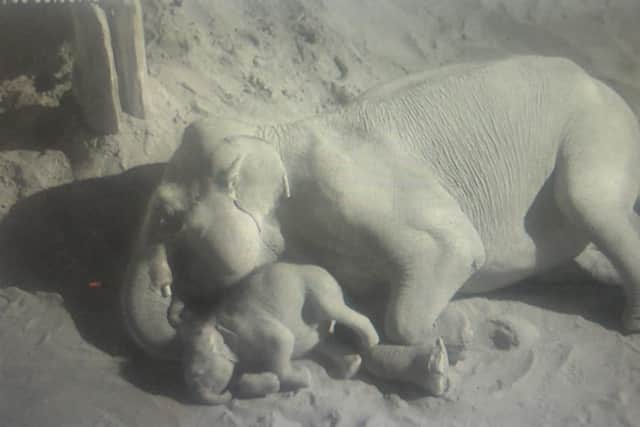 CCTV captured the sweet moment of Zaiya using her mum's trunk to rest her head on to fall asleep.