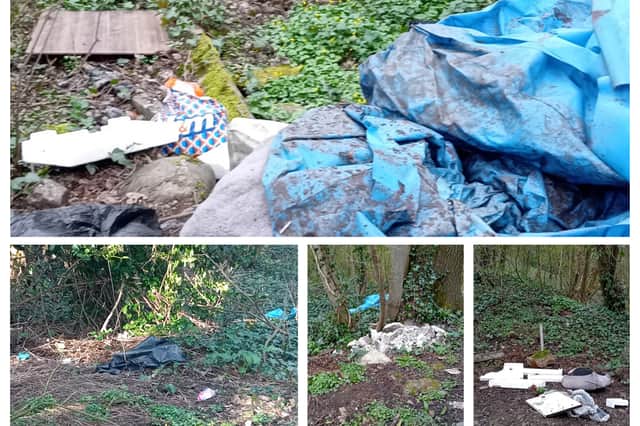 Flytipped waste in Brockholes Wood, Preston