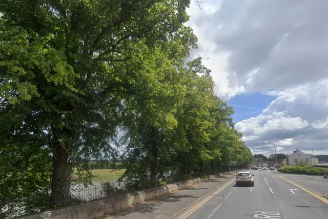The lime trees in Victoria Road, Walton-le-Dale, were planted in 1912 to celebrate the coronation of King George V. 18 of them are due to be cut down as part of the River Ribble's new flood defences