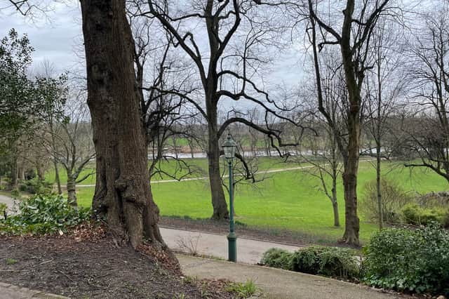 The view of Avenham Park from the rear of Ribblesdale Place