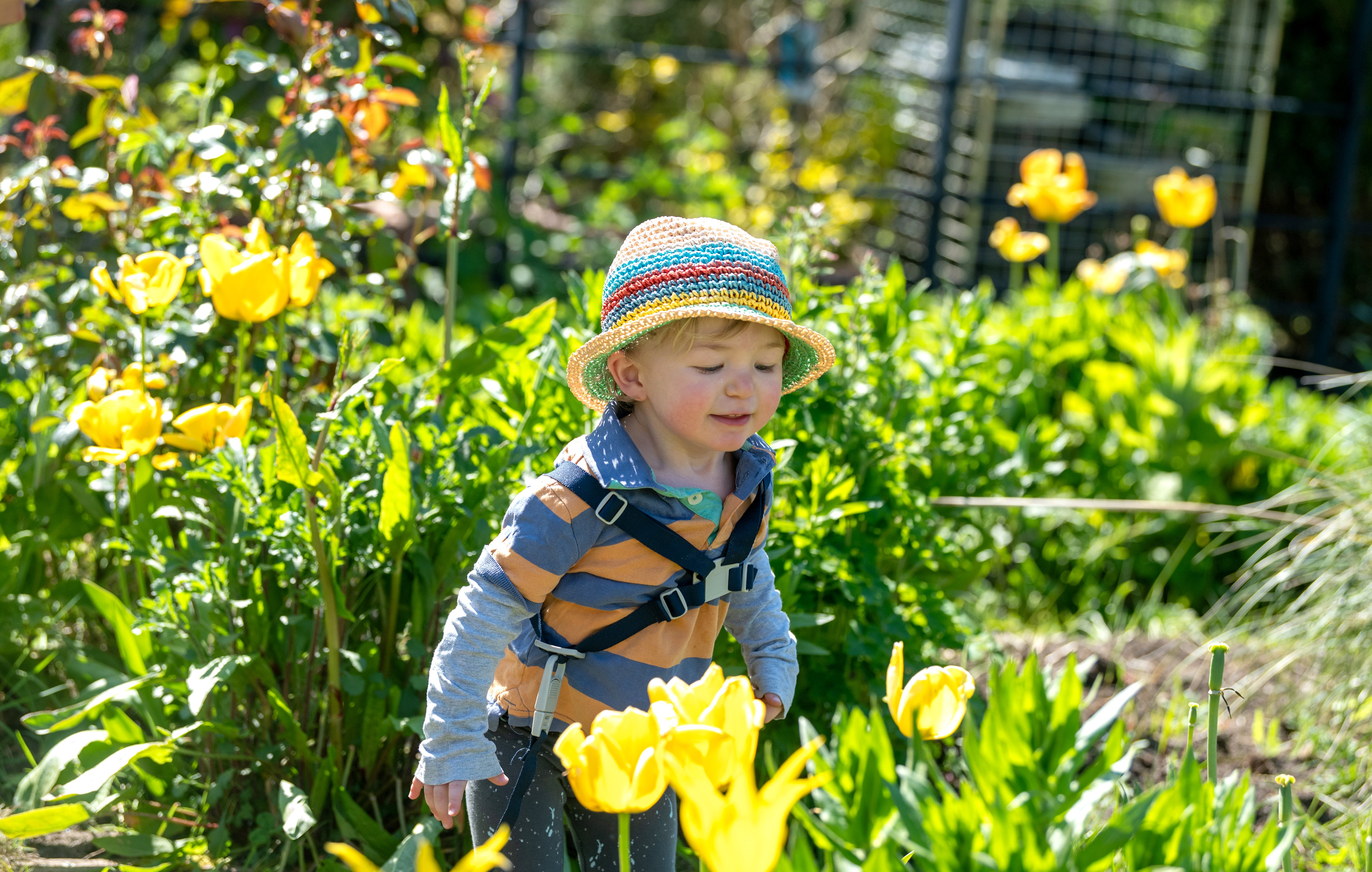 15 joyous photos from the Let's Grow Preston Spring Fair