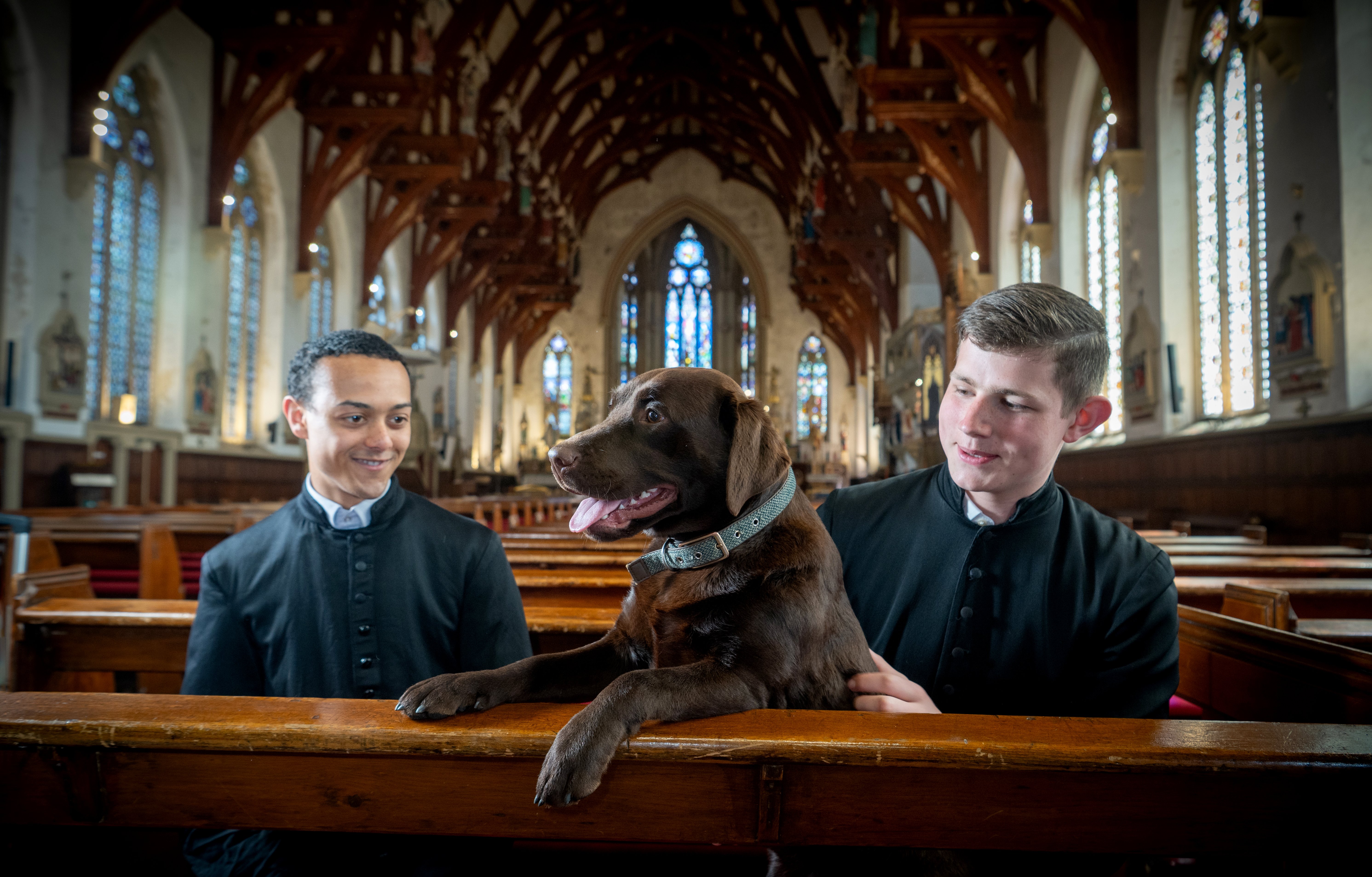 Meet Toffee the adorable football-playing Latin-speaking dog who lives at Preston's St Walburge's church
