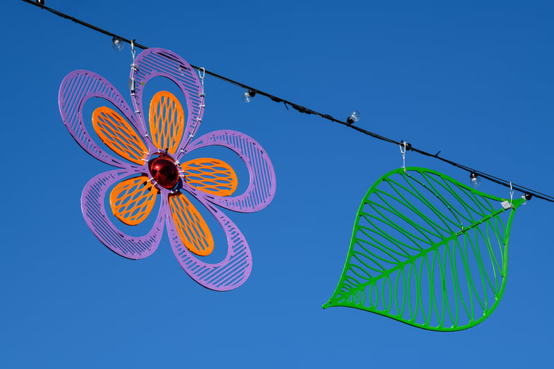 23 pics from the launch of Preston's Canopy of Colour