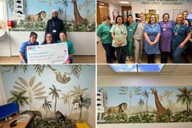 New art has been installed at Royal Preston Hospital's Paediatric Emergency Department.