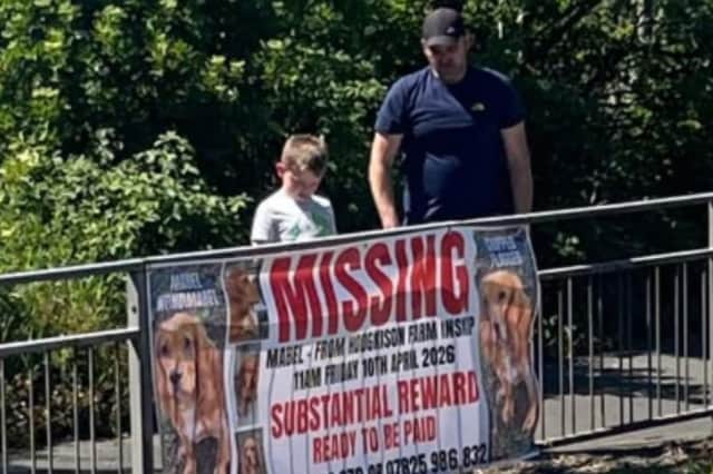 The young adult female Cocker Spaniel who is red with a white chest went missing from her family's farm in Inskip, since 11am on Friday, April 10, and is believed to have been taken for breeding.