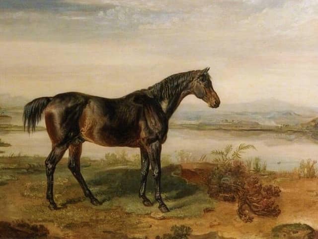 Doctor Syntax, the celebrated racehorse whose remarkable Gold Cup record included seven victories at Preston