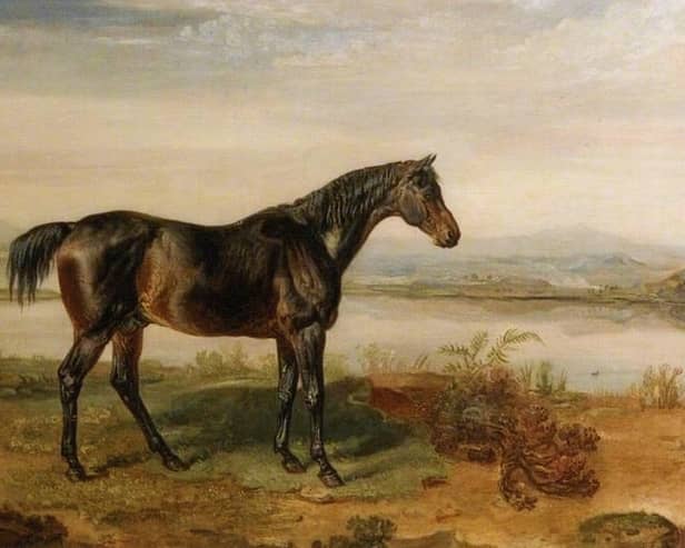 Doctor Syntax, the celebrated racehorse whose remarkable Gold Cup record included seven victories at Preston