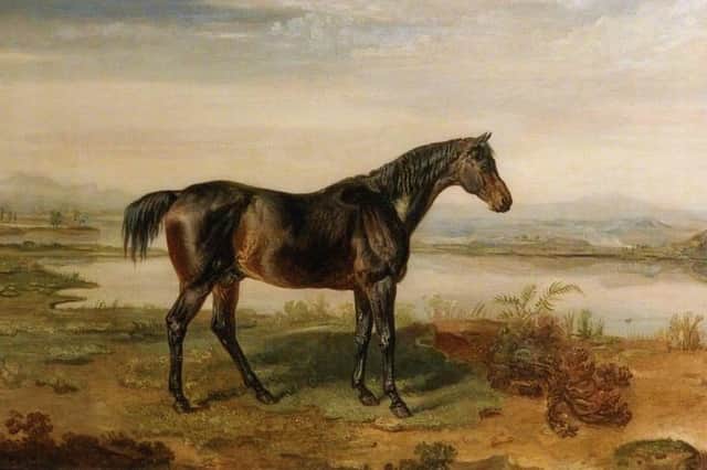 Doctor Syntax, the celebrated racehorse whose remarkable Gold Cup record included seven victories at Preston