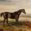 Doctor Syntax, the celebrated racehorse whose remarkable Gold Cup record included seven victories at Preston
