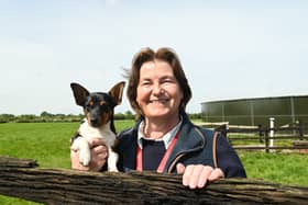 Andrea Gardner, director of farms at Myerscough College. Staff and students at Myerscough College are preparing for their Open Farm Sunday event.  The national annual agricultural day, which celebrates its 20th anniversary, encourages farmers to open their gates, tell their unique stories and put farming centre stage