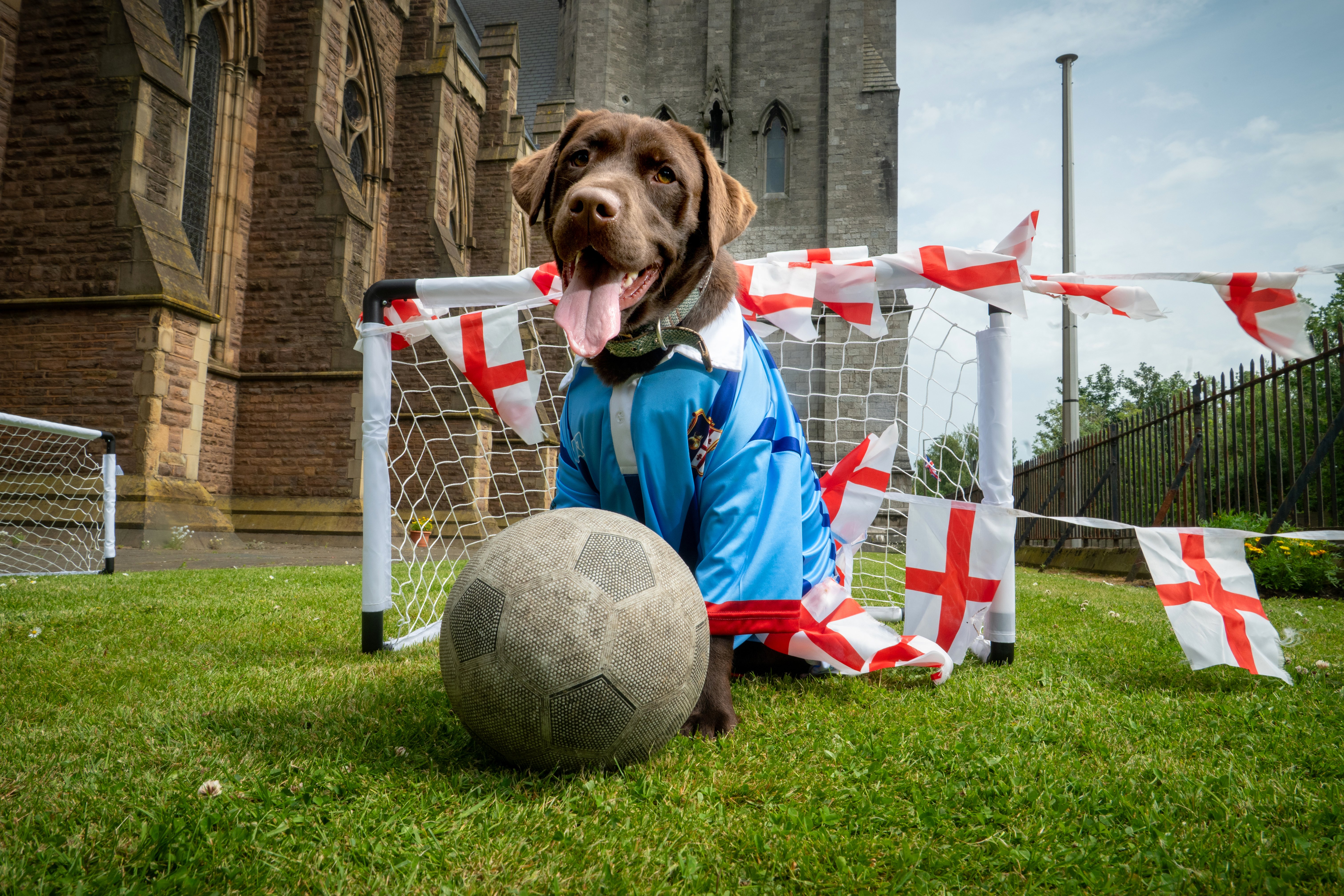Meet the Preston dog who has predicted the result of England’s opening ...