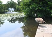 Lancashire is loved for many reasons - one of which is its many gorgeous parks including Astley Park in Chorley.