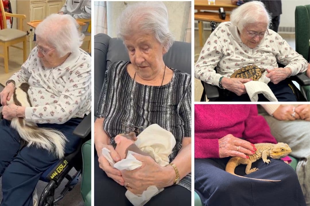 'They're better than people'- Clitheroe care home residents enjoy exotic ...
