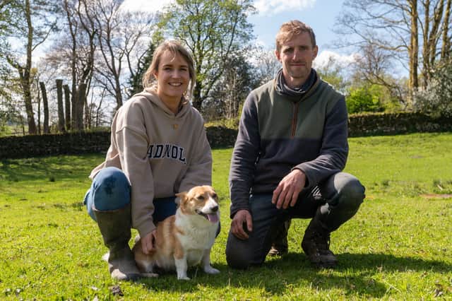 Bertie and Heather Hodgson, who own High Borrans Farm, where Corgi Daphne works as a sheepdog.