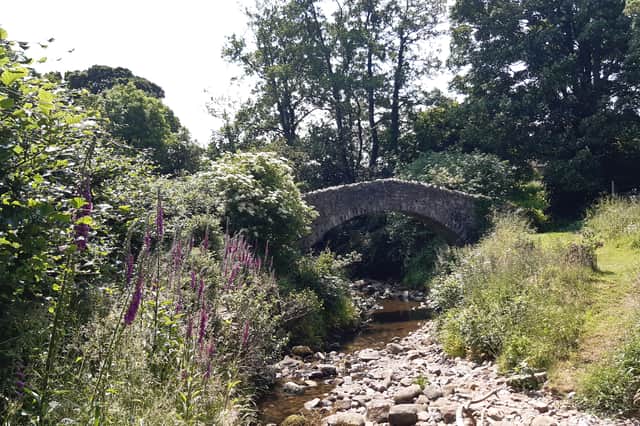 An old packhorse bridge, over Bashall Brook.