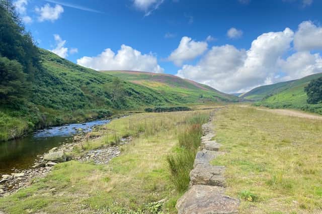 Langdon Brook, a watercourse in the Trough of Bowland