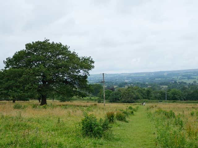 The field where the 300 homes will be built was described as being of a low quality.