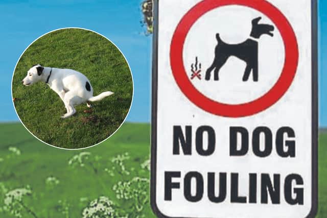Wyre Council asking residents for feedback on major dog control and fouling rules - have your say