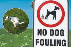 Wyre Council asking residents for feedback on major dog control and fouling rules - have your say