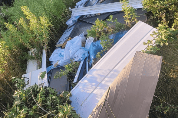 A conservatory casually thrown into bushes on Ashton Park