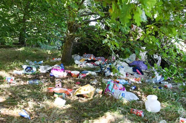 The park is visited by travellers a couple of times a year - but never has it needed a clean-up as extensive as it does now