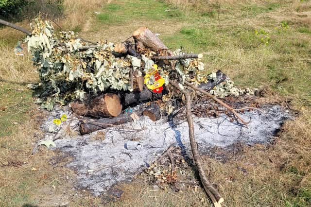 Fires had been lit on the dry park ground