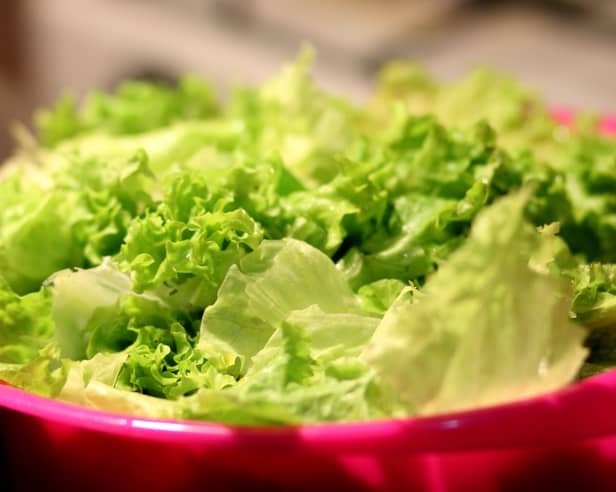 The cyclospora parasite is commonly spread via fresh produce, particularly soft or unpeeled fruit, salad leaves, and herbs washed with contaminated water.