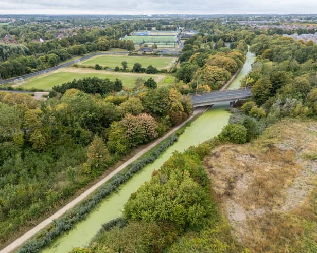 Blue-green algae has formed on top of the Lancaster Canal in Preston turning it green. Photo: Kelvin Lister-Stuttard