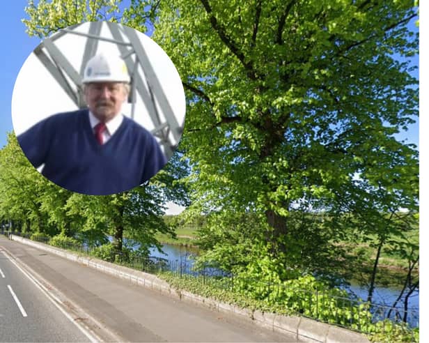 The threatened 'royal' lime trees in Victoria Road, Walton le Dale and John Hull (inset)