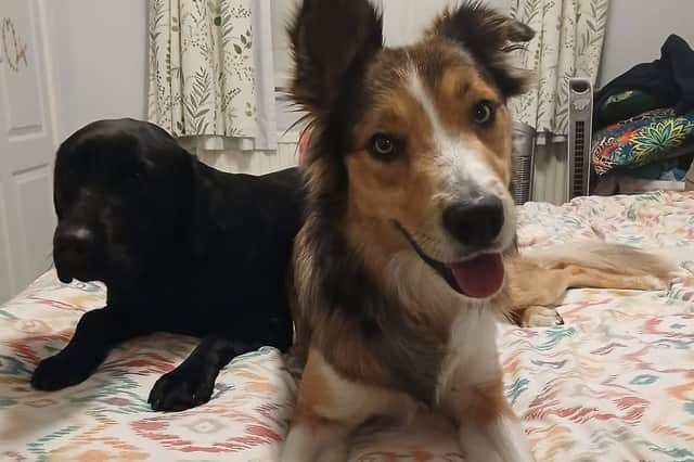 Harley and Poppy have been reunited