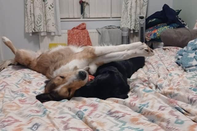 Catching up on some sleep