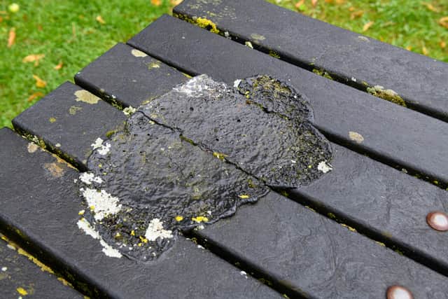 Picnic benches at Edisford Bridge which have been burnt and are now warped. Photo: Kelvin Lister-Stuttard