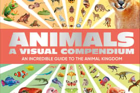 Animals A Visual Compendium