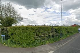 Land over this hedge is earmarked for up to 4 houses.