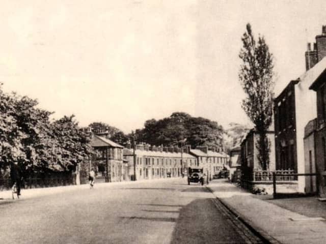 Victoria Road, Walton-le-Dale, around 1936, showing the historic lime trees which are now at the centre of a battle over plans for new flood defences