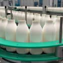 The fibre bottles are manufactured from sustainably sourced wood pulp, contain no hidden plastic and are recyclable 