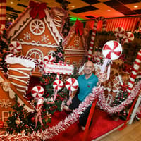 Barton Grange reveal their 2026 Christmas display and this year's festive themes - in pictures