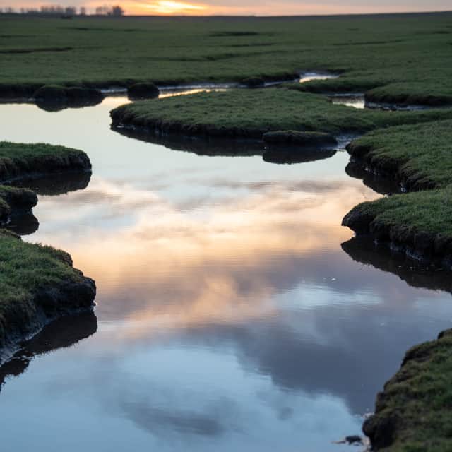 Tidal creeks cut through the Ribble Estuary's marshland, where local wildfowling clubs help maintain habitats for ducks, geese and other wildlife