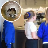 Rat concerns at Preston primary school closes kitchen but situation 'is under control'